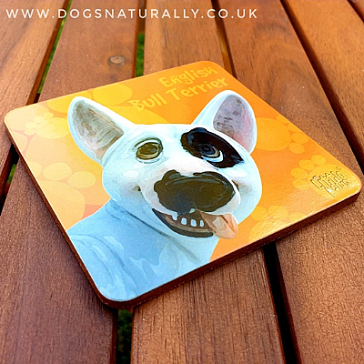 English Bull Terrier Fun Gift Coaster (Single/Set)